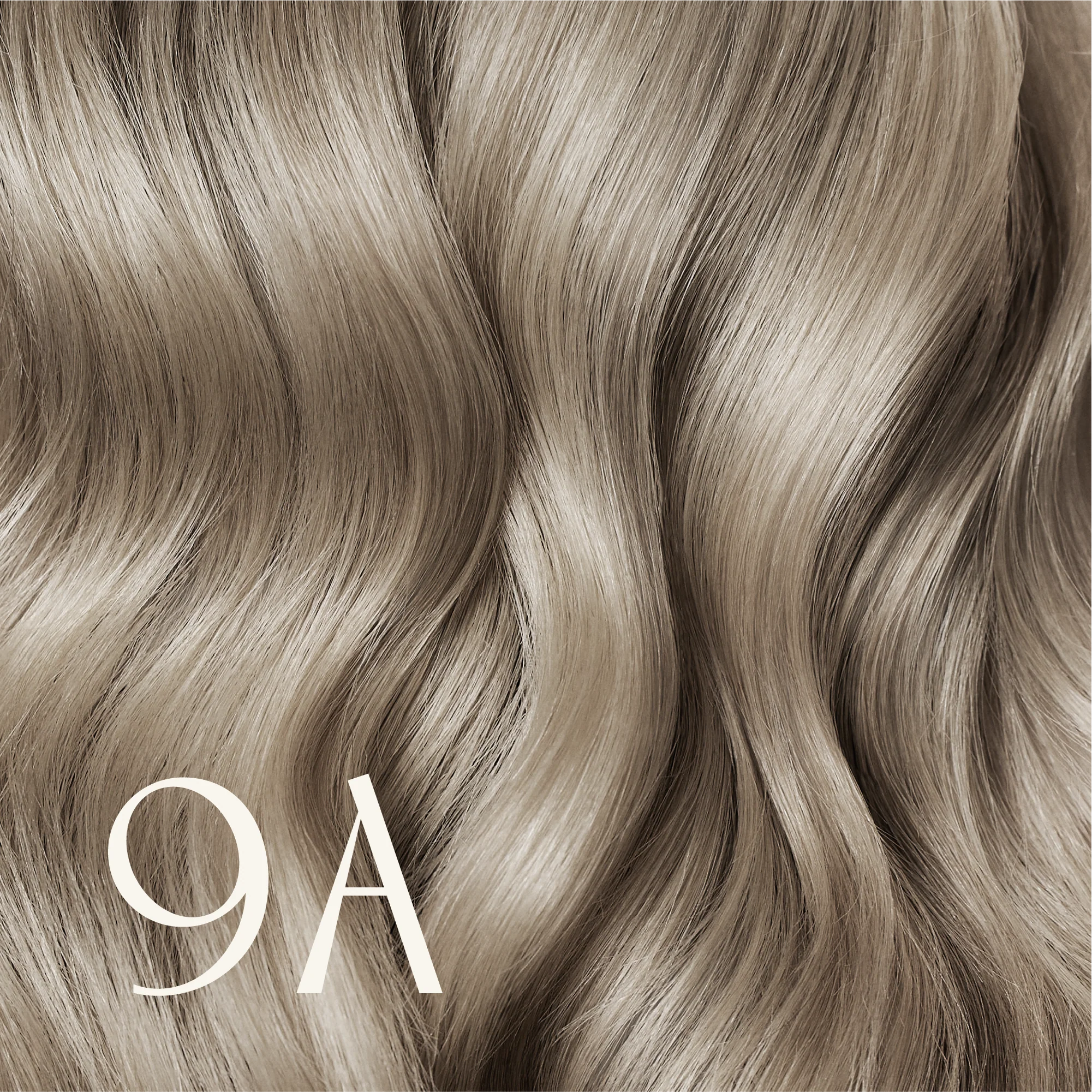 True Color Shades - Image 15